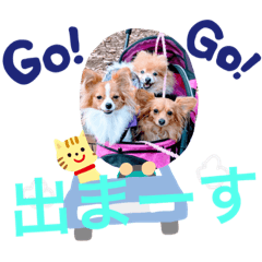 yukari_20191029214208