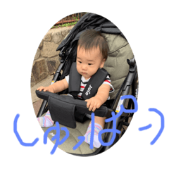 matsu_20191029231457