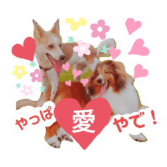 Akane_20191029103440