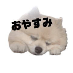 saya_20191030082824