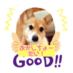 chie_20191030090933