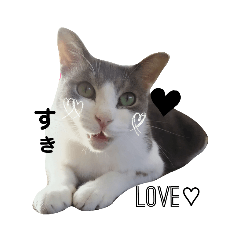 KURUMI_20191030115747