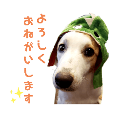 ayumi_20191030092740