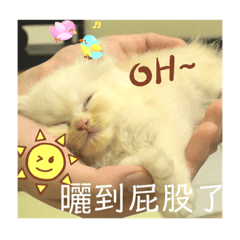 被整的阿咪