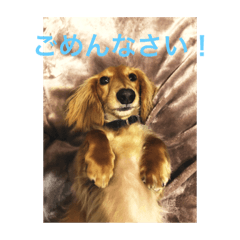 KOTA_20191030142713