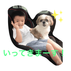 Kitty_20191030171215