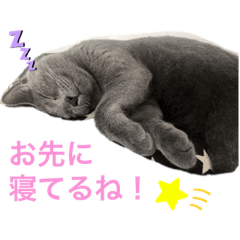 erika_20191030170621
