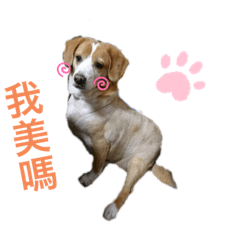 雷咪嚕日常