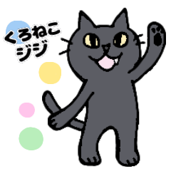 black cat gigi 1