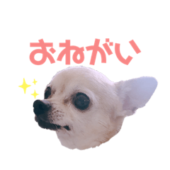 mina_20191030185800