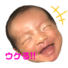 t.k_20191030230758