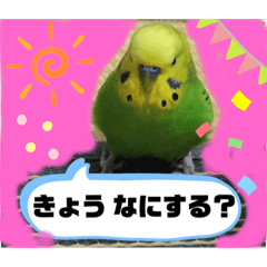 Midori_20191031002740