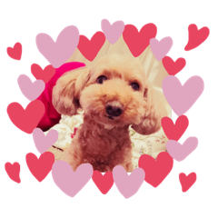 NANAMI_20191031010243