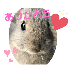 suu_20191031004050