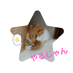 Sayuri_20191031024120