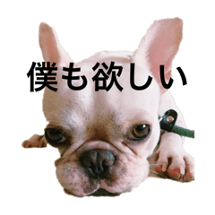 take_20191031033535