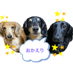 ERIKA_20191030211710