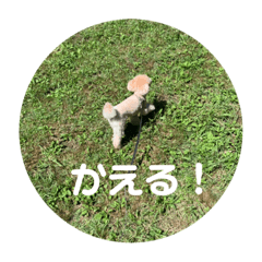 ay_2019toy