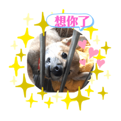 大家好 我是阿財
