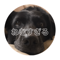 rei_20191031153732