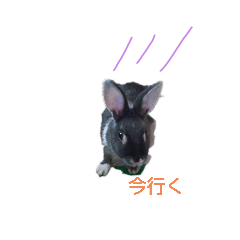 satoshi_20191031155907