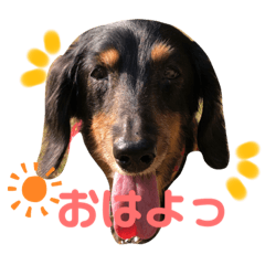 nagisa_20191031175001