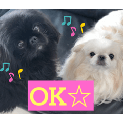 akiko_20191031202745