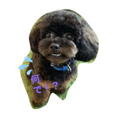 Marina_20191031175505