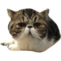 Arisa_20191024235712