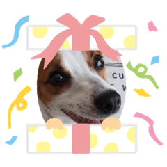 jack_20191031225301