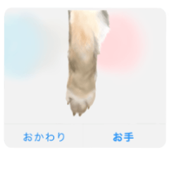 Haruna the shibe's Super KAWAII sticker2