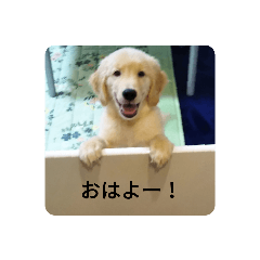 ume_20191031213323