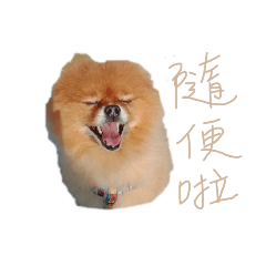 油條。摸