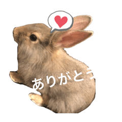 aoi_20191101030232