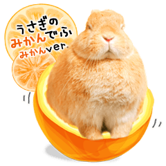 Rabbit Mikan Mikan Version Line Stickers Line Store