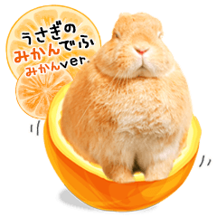 Rabbit Mikan-Mikan-version
