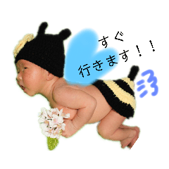 miyo_20191101102733