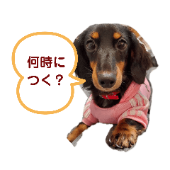kao.mint_20191101105810