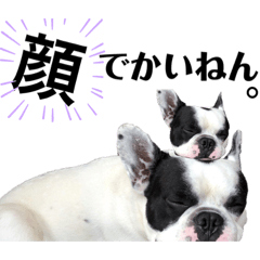 saori_20191101123154