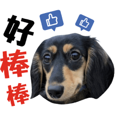糗咪嚕