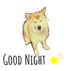 akane_20191101134553