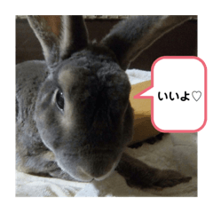 CHIHIRO_20191101175358