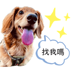 啾寶日記