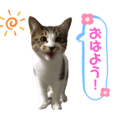 Marina_20191101214838