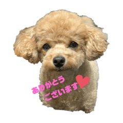 haruna_20191101181954