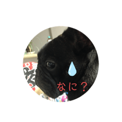 monaka_20191101235357