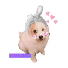 Max doggo