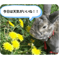 CHIHIRO_20191102000253