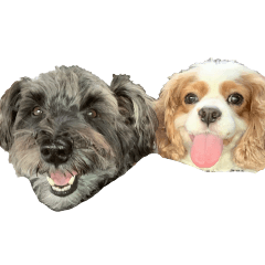 CHOKO&NOAH