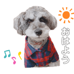 moka_20191101233342